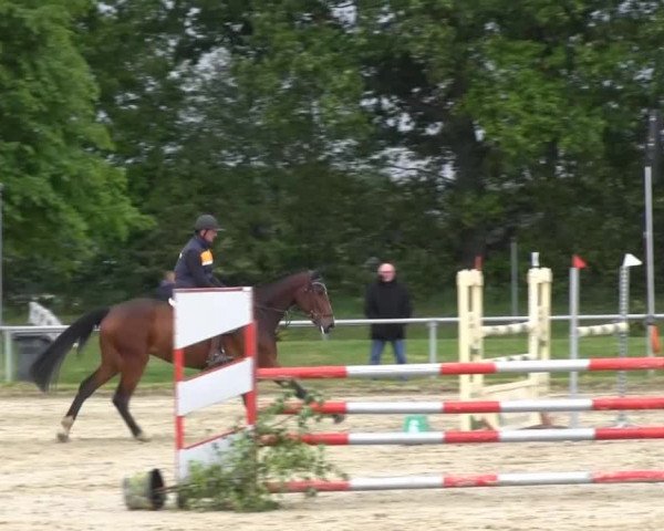 Coesfelder Reitertage 2014