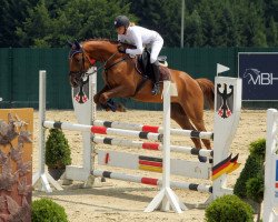 jumper SF Mirar (Trakehner, 2012, from Phlox)