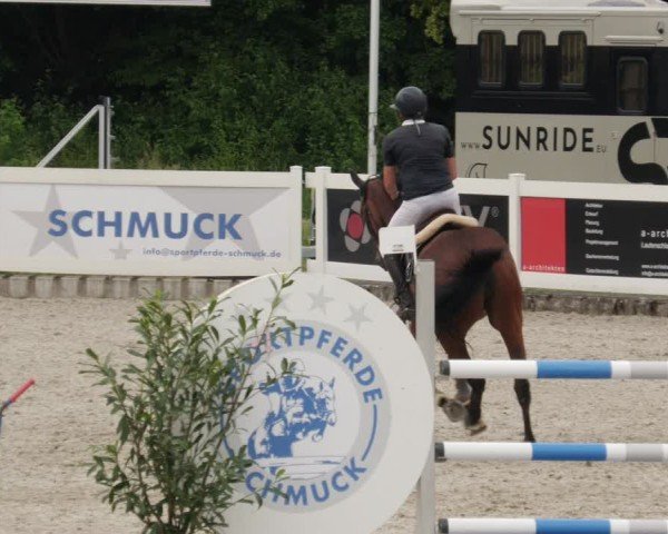 Reitturnier Babenhausen/Schw. 2025