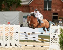 jumper Kid de Pals (Spanish Sport Horse, 2008, from Campione)