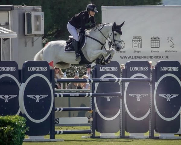 Springpferd Beau van de Hagenhorst Z (Zangersheide Reitpferd, 2012, von Big Star Jr KZ)