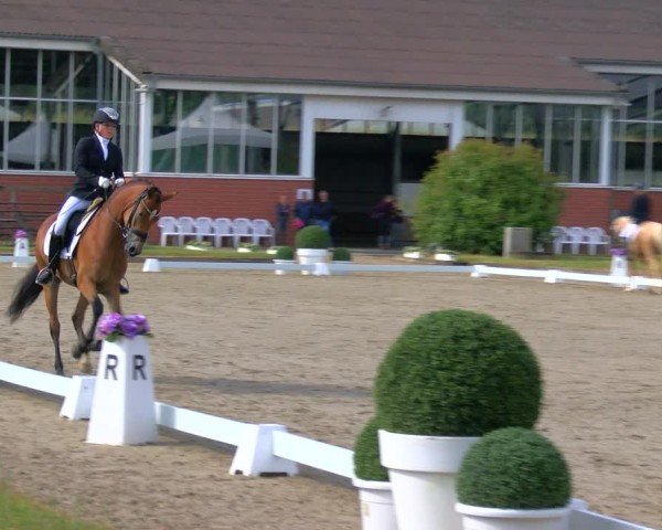 Reitturnier Langenfeld 2025