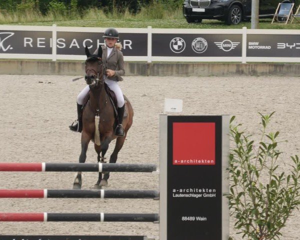 Reitturnier Babenhausen/Schw. 2025