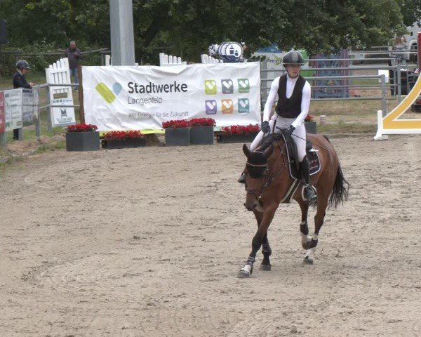 Reitturnier Langenfeld 2025