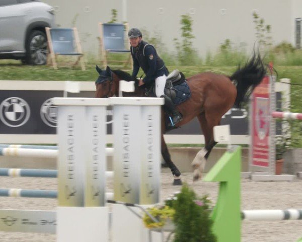 Reitturnier Babenhausen/Schw. 2025