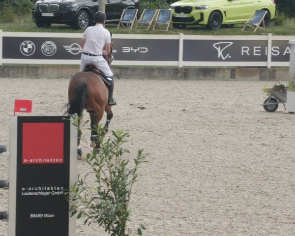 Reitturnier Babenhausen/Schw. 2025