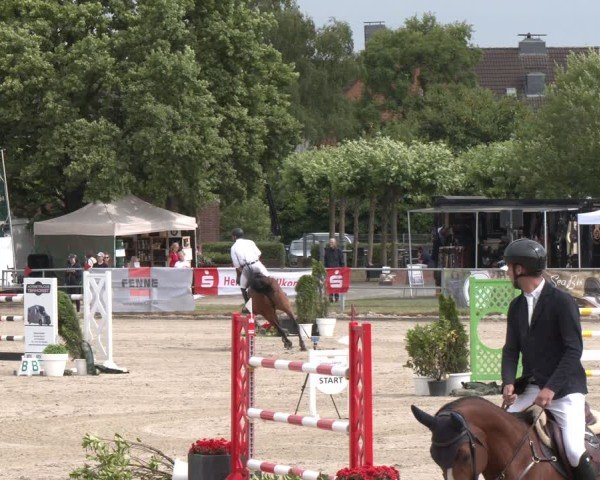 Reitturnier Langenfeld 2025