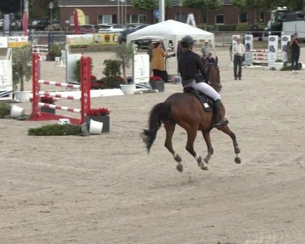 Reitturnier Langenfeld 2025