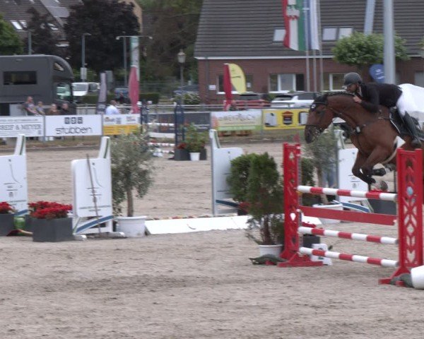 Reitturnier Langenfeld 2025