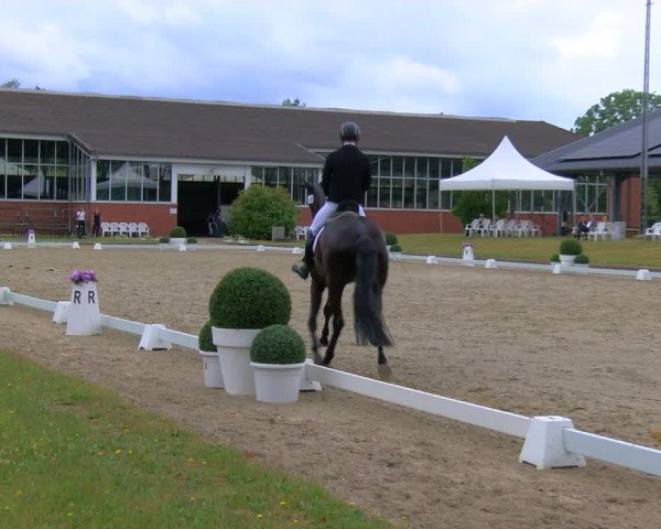 Reitturnier Langenfeld 2025