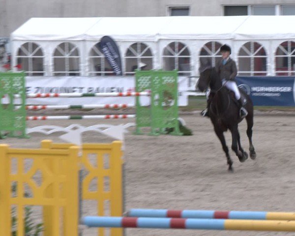 Reitturnier Langenfeld 2025