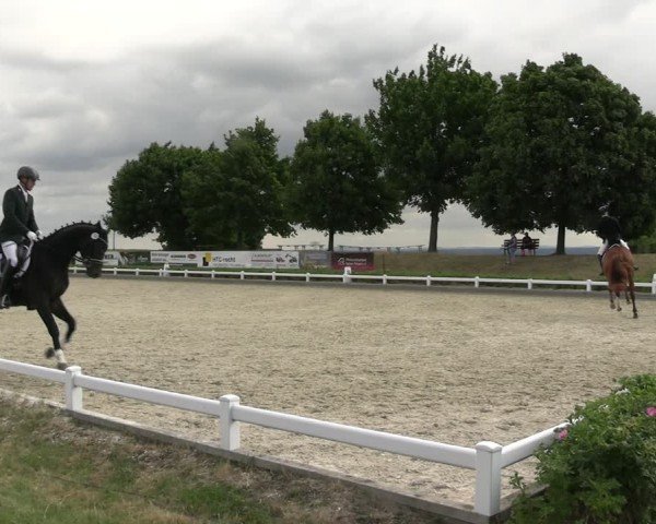Reitturnier Dresden Gompitz 2025