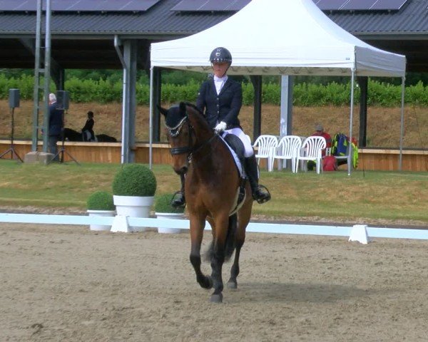 Reitturnier Langenfeld 2025