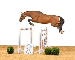stallion Zuccarello (Holsteiner, 2019, from Zuccero Hv)