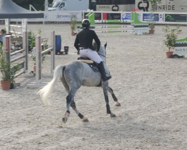 Reitturnier Babenhausen/Schw. 2025