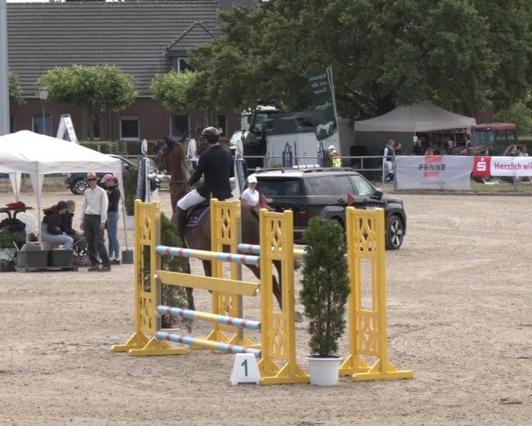 Reitturnier Langenfeld 2025