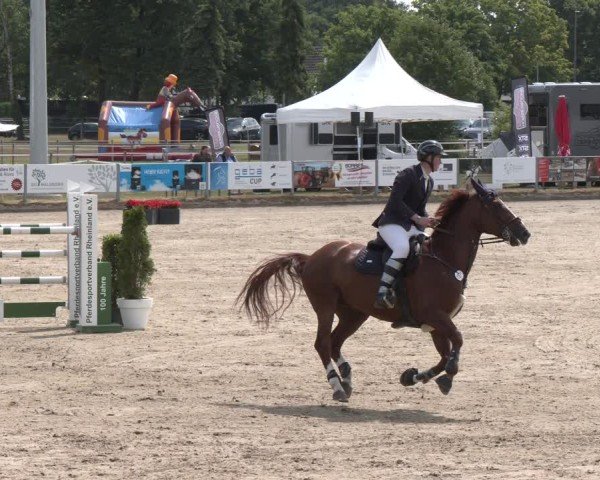 Reitturnier Langenfeld 2025