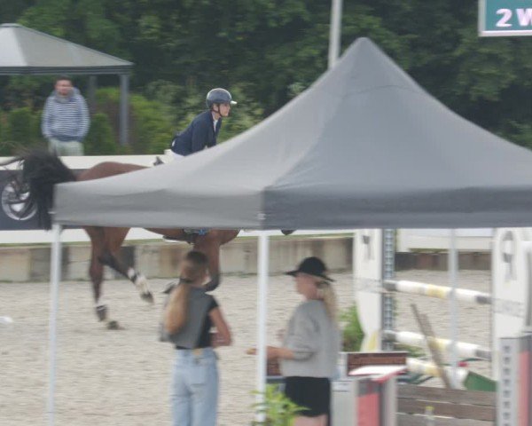 Reitturnier Babenhausen/Schw. 2025