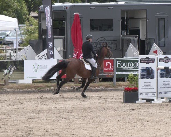 Reitturnier Langenfeld 2025