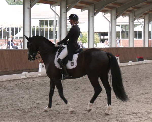 Reitturnier Langenfeld 2025