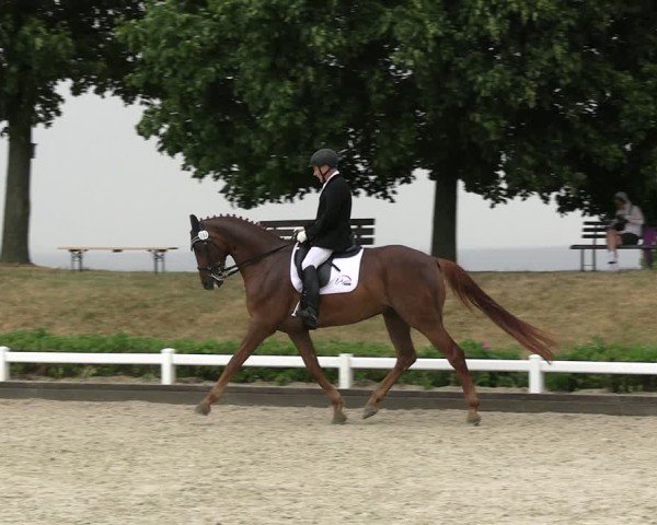 Reitturnier Dresden Gompitz 2025