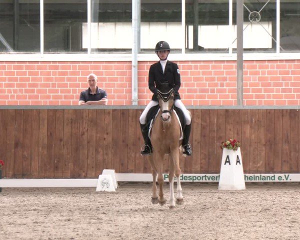 Reitturnier Langenfeld 2025