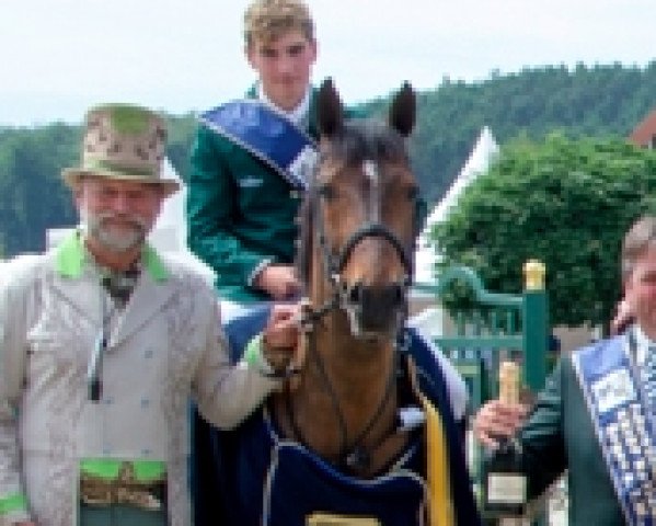 jumper Knockeroghery Prince (Irish Sport Horse, 2002)