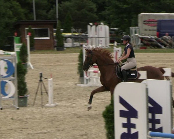 Reitturnier Bad Liebenstein/Sorga 2025
