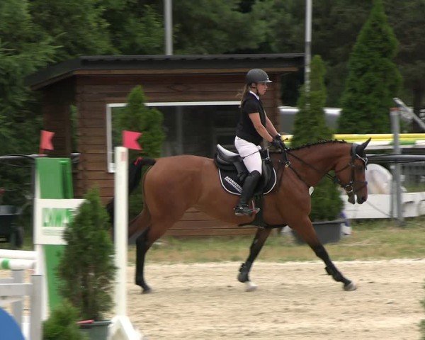 Reitturnier Bad Liebenstein/Sorga 2025