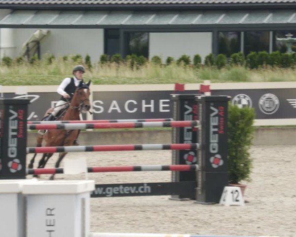 Reitturnier Babenhausen/Schw. 2025