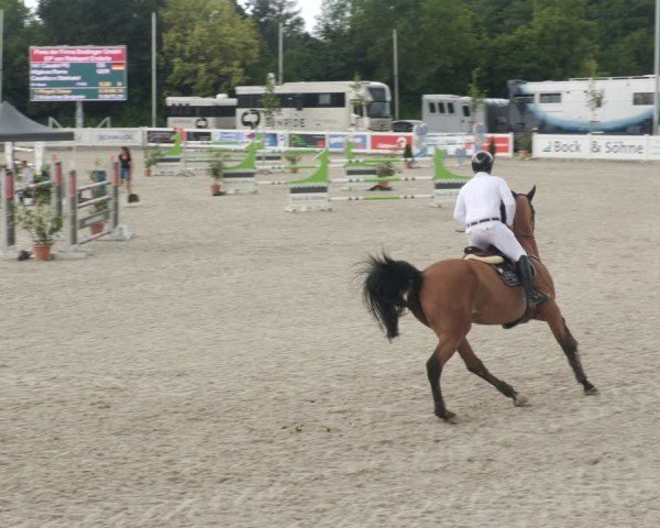 Reitturnier Babenhausen/Schw. 2025