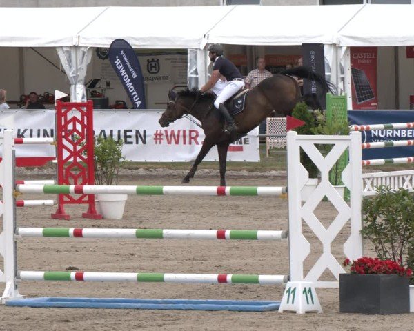 Reitturnier Langenfeld 2025