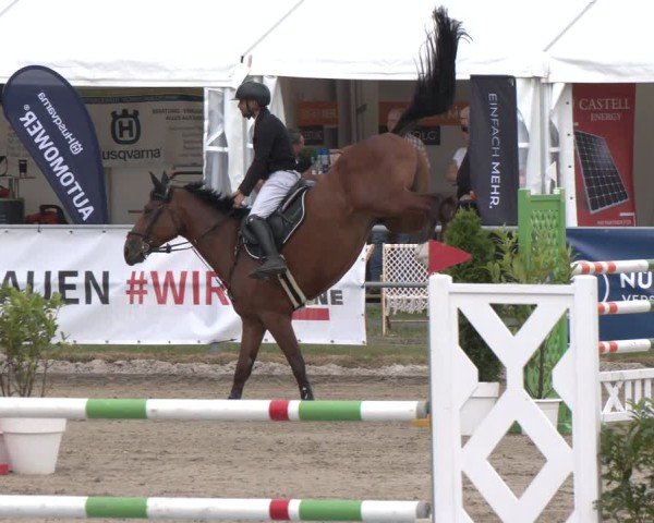 Reitturnier Langenfeld 2025