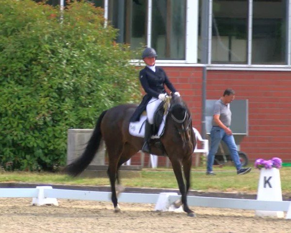 Reitturnier Langenfeld 2025