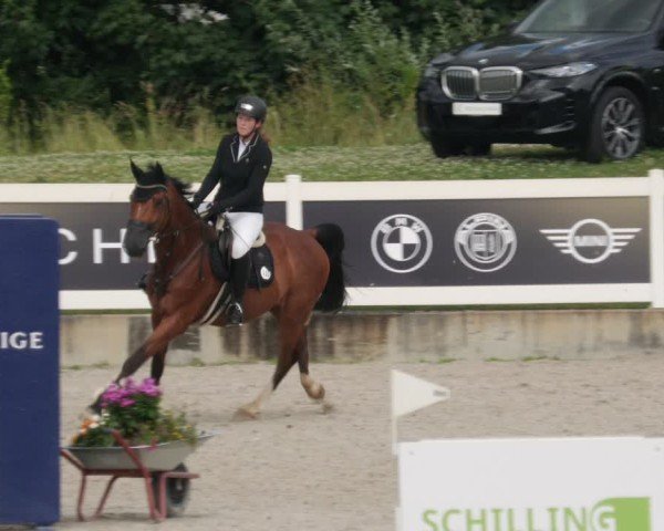 Reitturnier Babenhausen/Schw. 2025