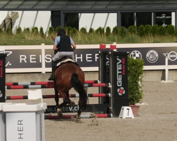 Reitturnier Babenhausen/Schw. 2025