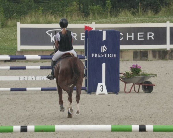 Reitturnier Babenhausen/Schw. 2025