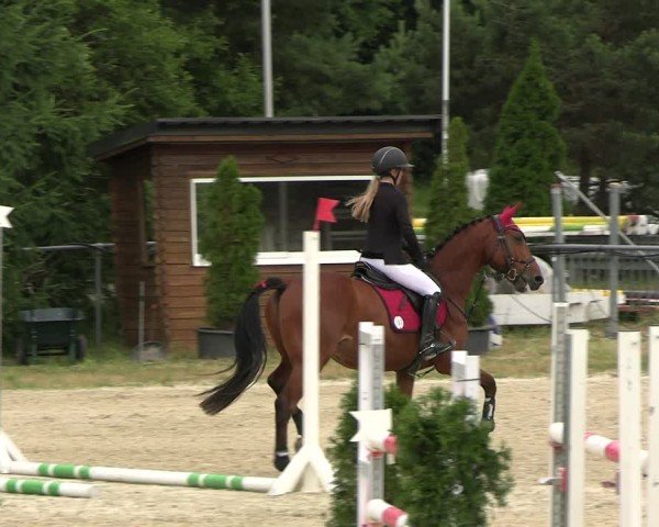 Reitturnier Bad Liebenstein/Sorga 2025