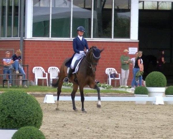 Reitturnier Langenfeld 2025