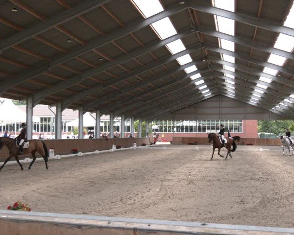 Reitturnier Langenfeld 2025