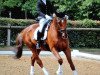 dressage horse Donisl 5 (German Warmblood, 2004, from Dunhill)