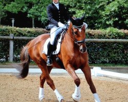 dressage horse Donisl 5 (German Warmblood, 2004, from Dunhill)