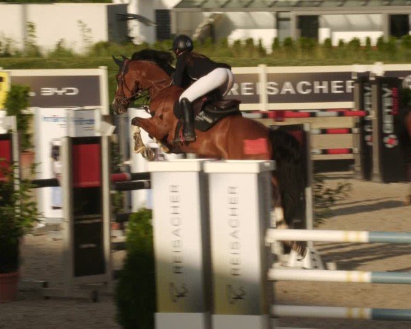 Reitturnier Babenhausen/Schw. 2025