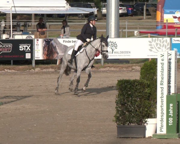 Reitturnier Langenfeld 2025