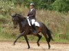 broodmare Romana 235 (Hanoverian, 2012, from Glock's Romanov)