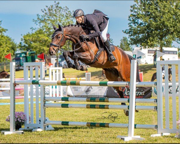 jumper Upgrade 9 (Holsteiner, 2018, from Unlimited)