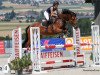 broodmare Minifee CH (Swiss Warmblood, 2014, from Conteur)