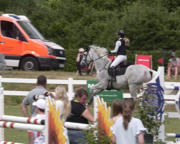 Reitturnier Aach 2025