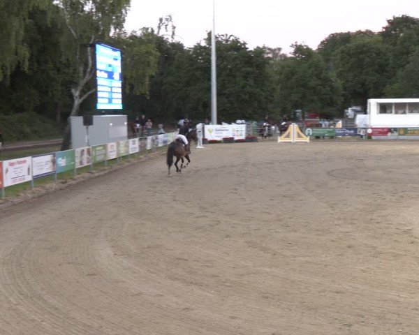 Reitturnier Langenfeld 2025