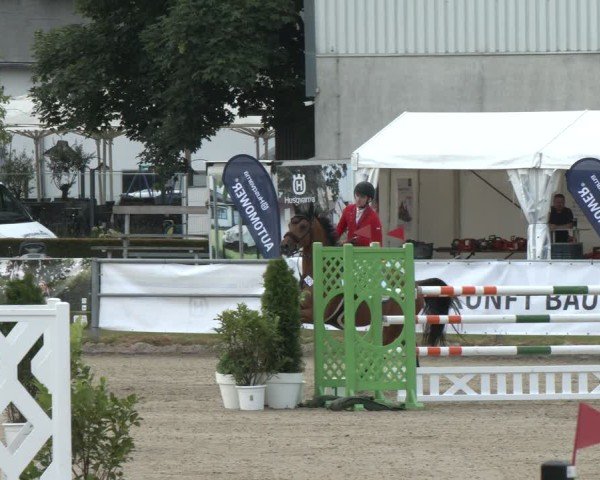 Reitturnier Langenfeld 2025